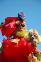 Highlight for Album: 2007 Mermaid Parade