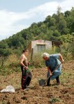 Highlight for Album: Dilijan, Armenia