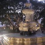 IMGP0020