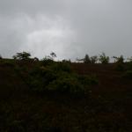 P5220260