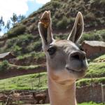 Sacred Valley